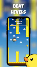 Ducky Dash - Fly & Dodge gallery image