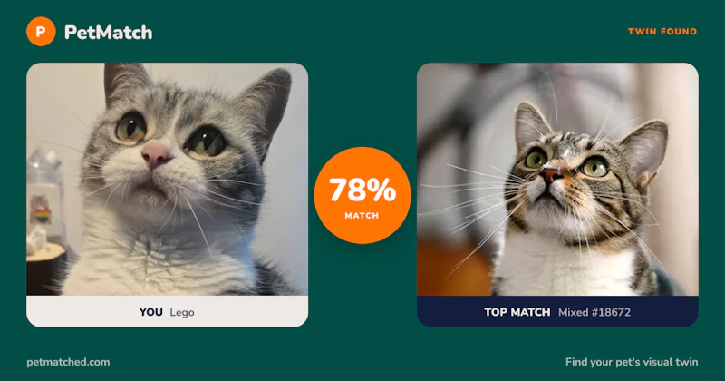 PetMatch screenshot 3