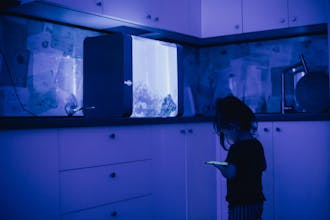 Bluenero gallery image