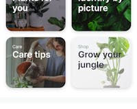Jungled media 2