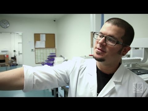 MERRY JANE gallery image