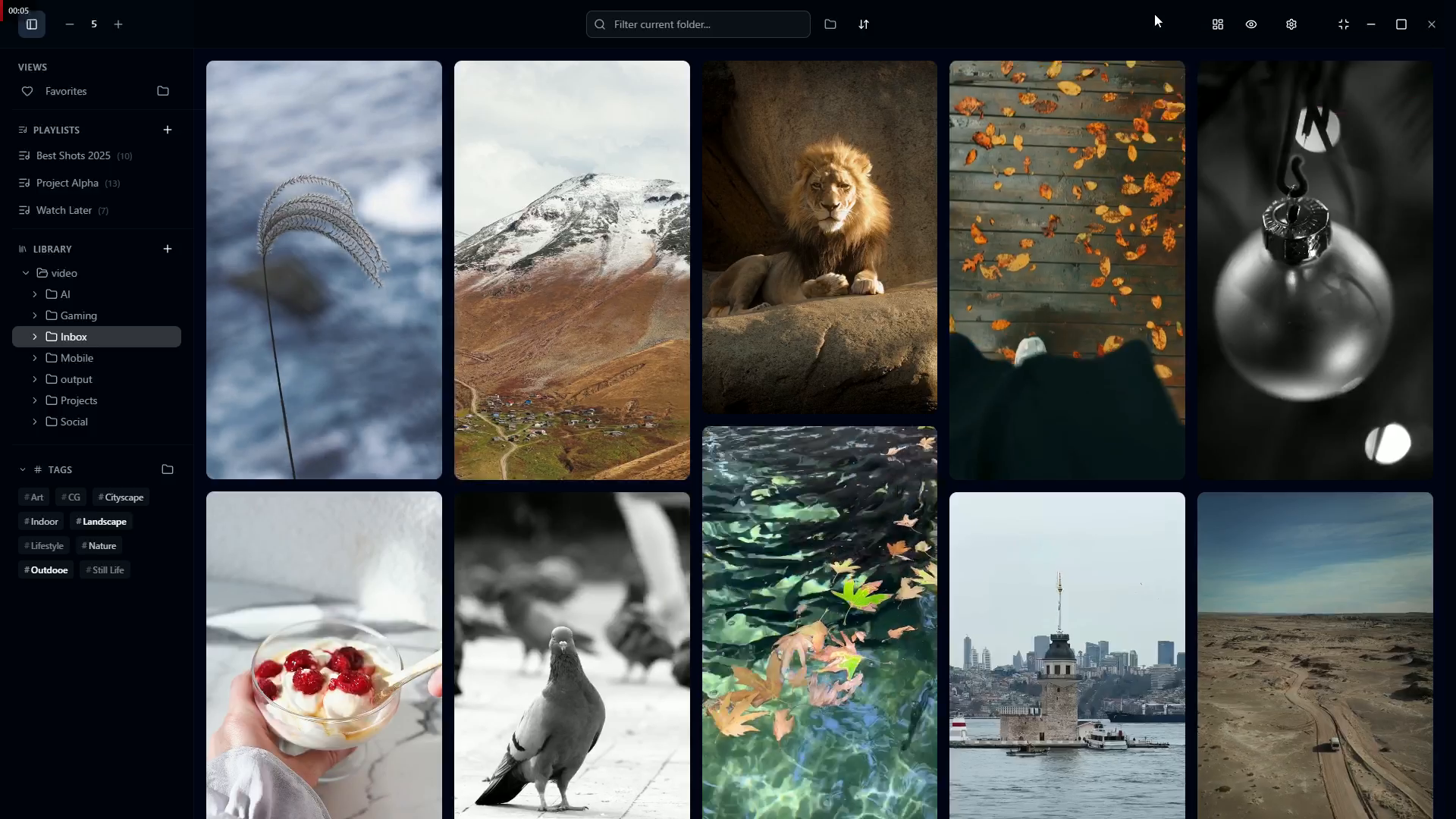 Local Masonry Video Player - Screenshot 2 showing product features and functionality