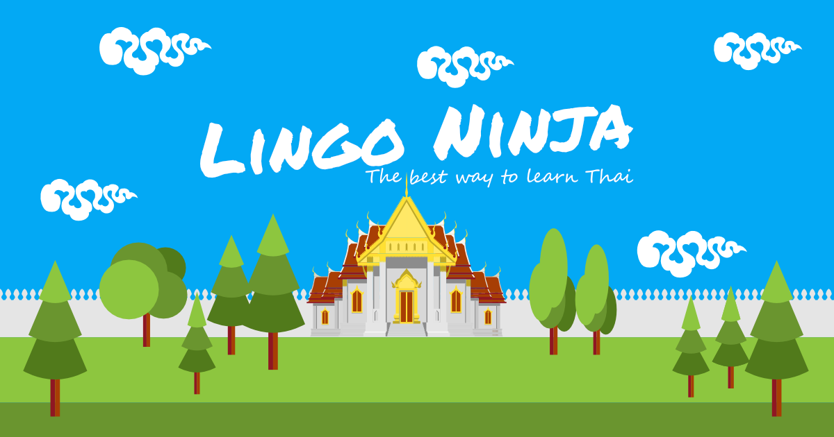 Lingo Ninja gallery image