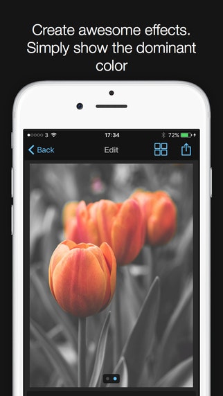 Show & Hide gallery image