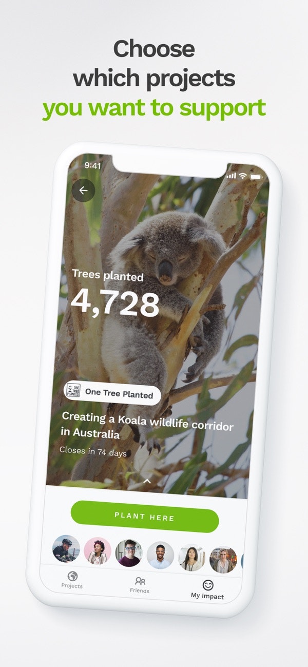 Treeapp gallery image
