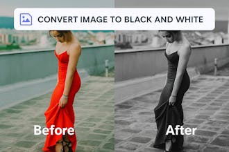 Black and White Image gallery image