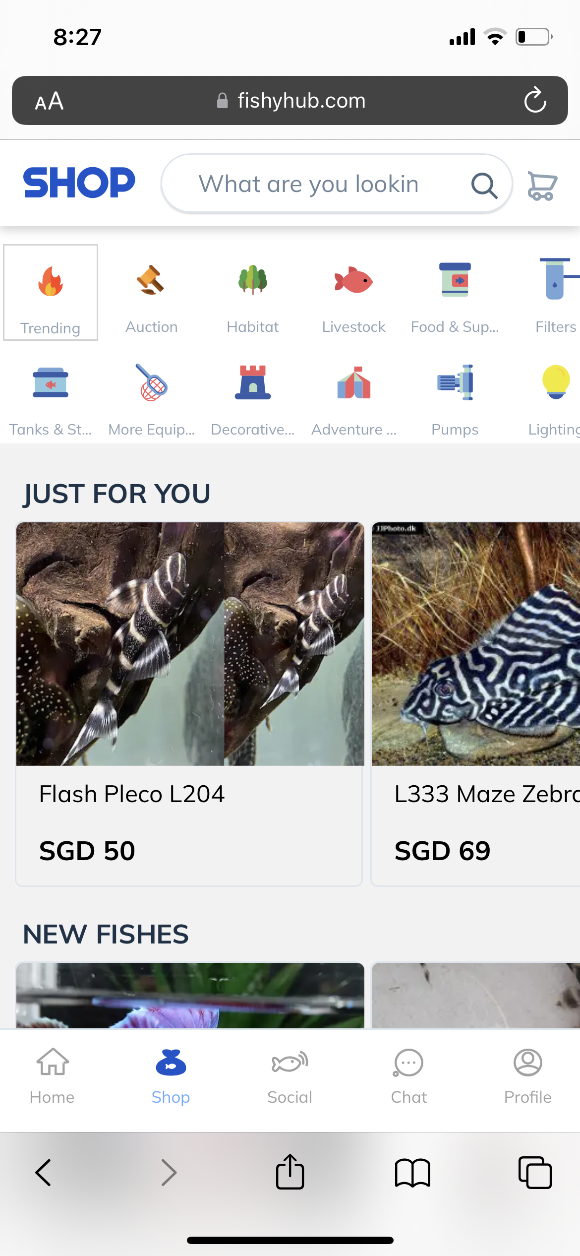Media Fishyhub - Pasaran akuarium dalam talian 4