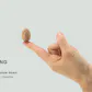 The Thinking Egg