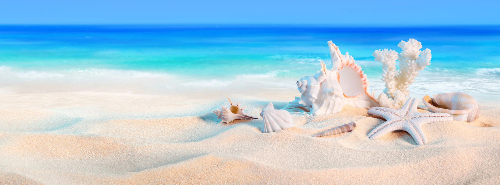 Itinerario di Viaggio cover