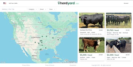 HerdYard gallery image