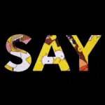 SayWhat TV Clipper