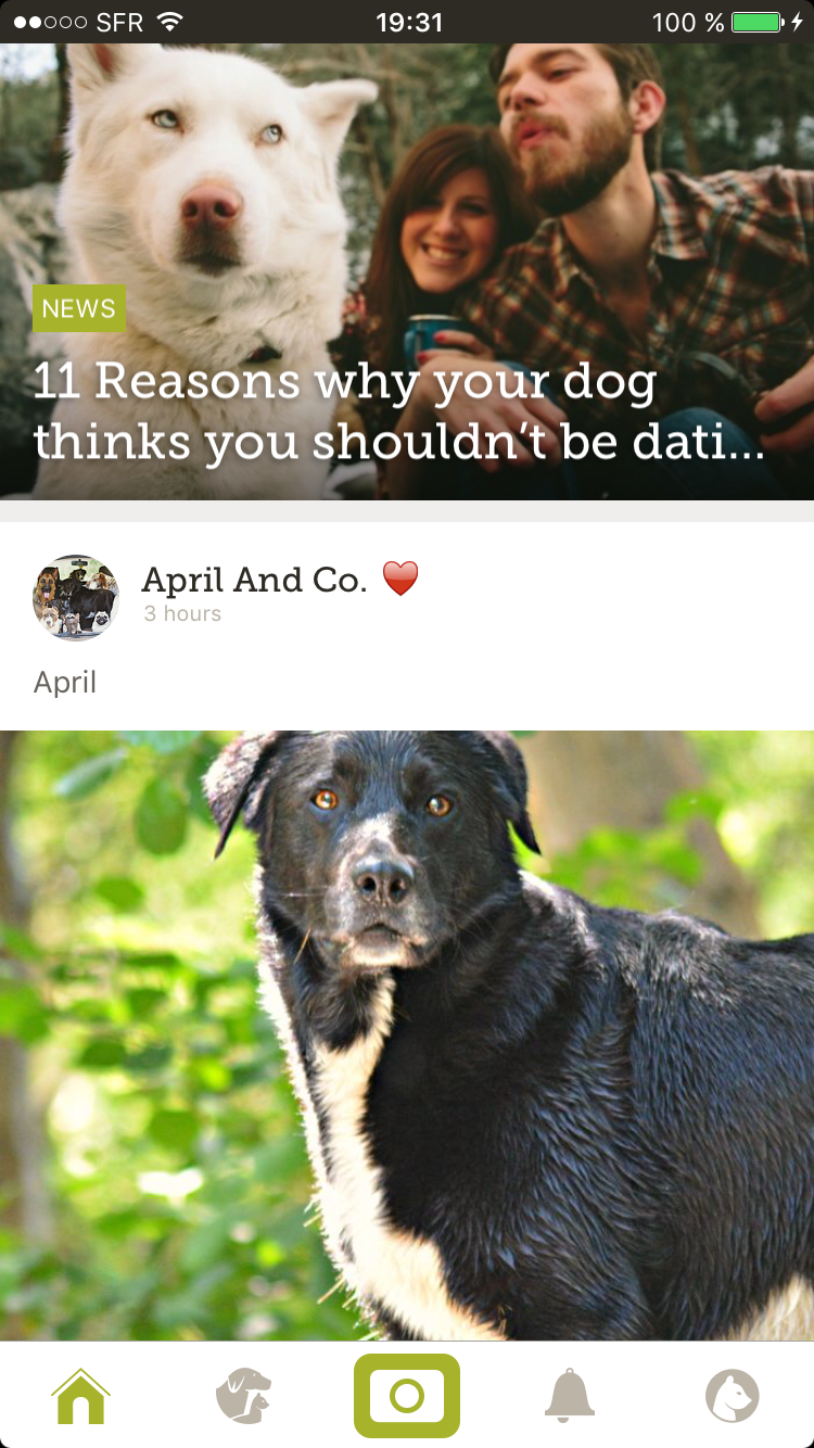 Yummypets gallery image