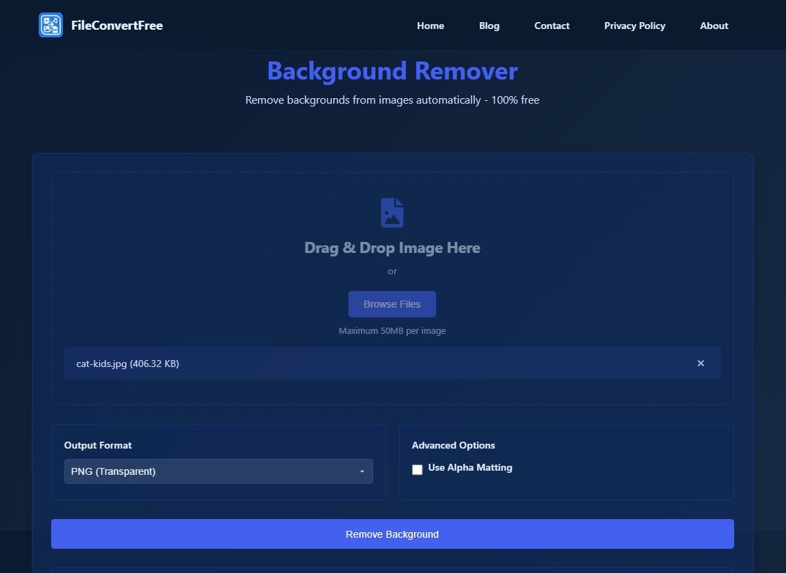 fileconvertfree ๋ฏธ๋์ด 2