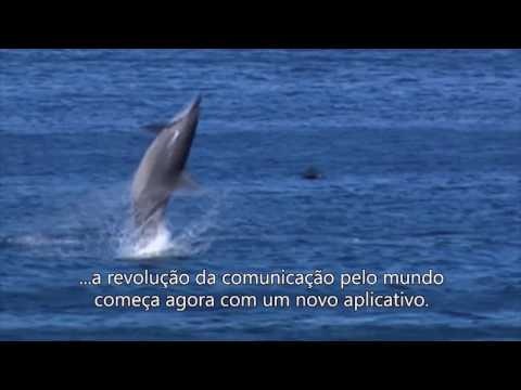 Greengow gallery image