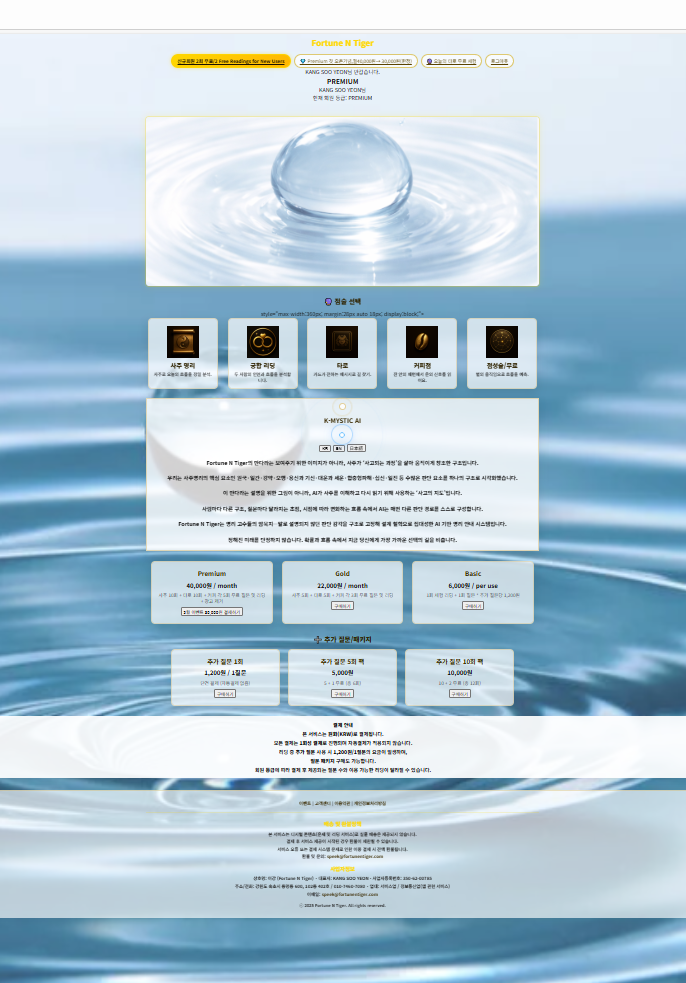 Fortune N Tiger gallery image