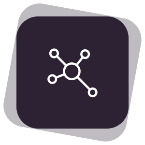 nexset