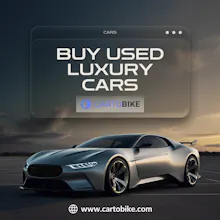 Cartobike gallery image