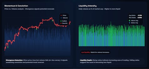 Koinos gallery image