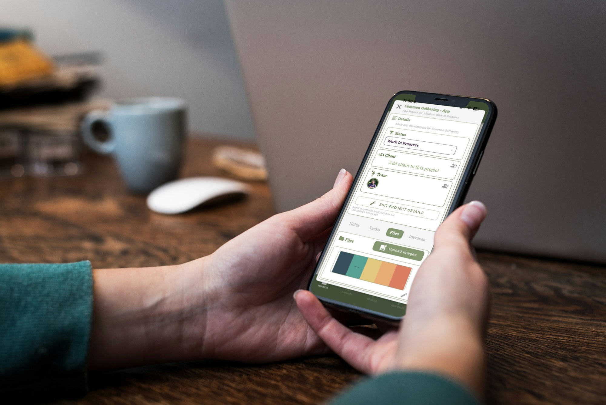 The Monstera gallery image