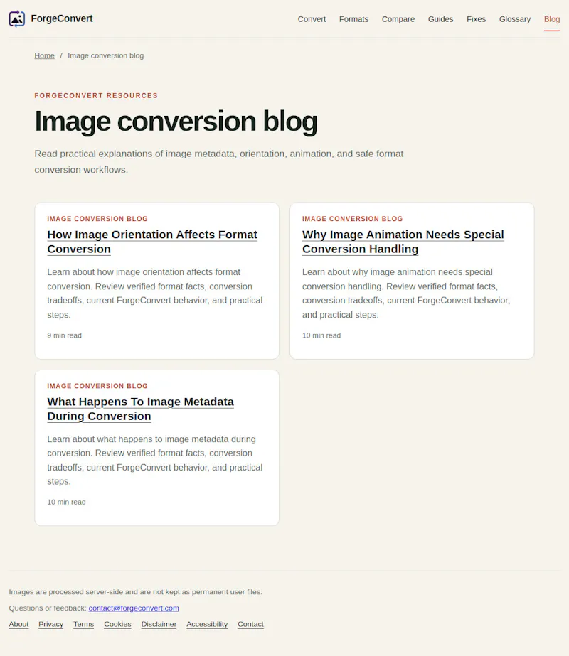 ForgeConvert screenshot 4