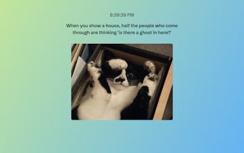 Nathan for You Quotes and Cats gallery image