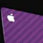 Apple Card Skin by dBrand