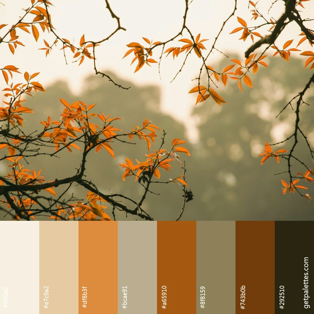 Color Palette Finder gallery image