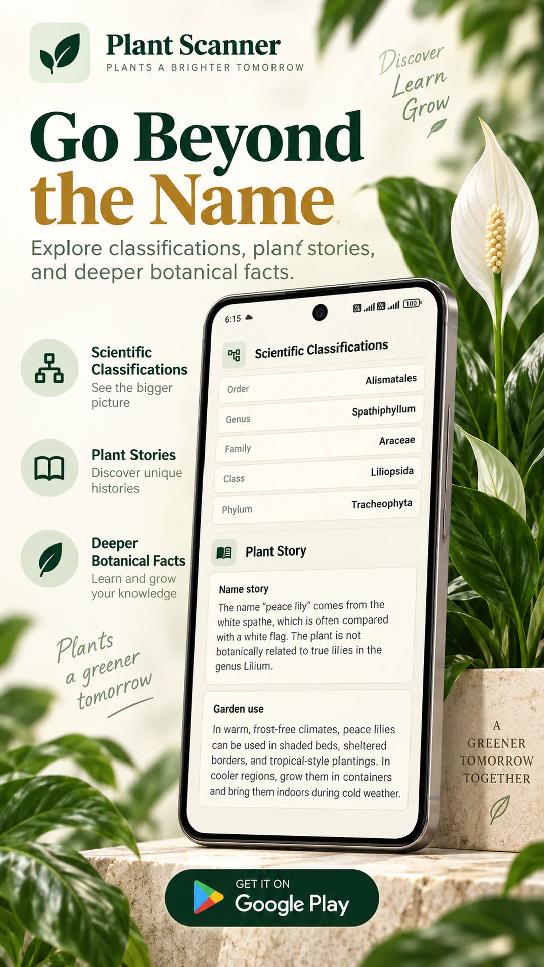 Plant Scanner: Plant ID gallery image