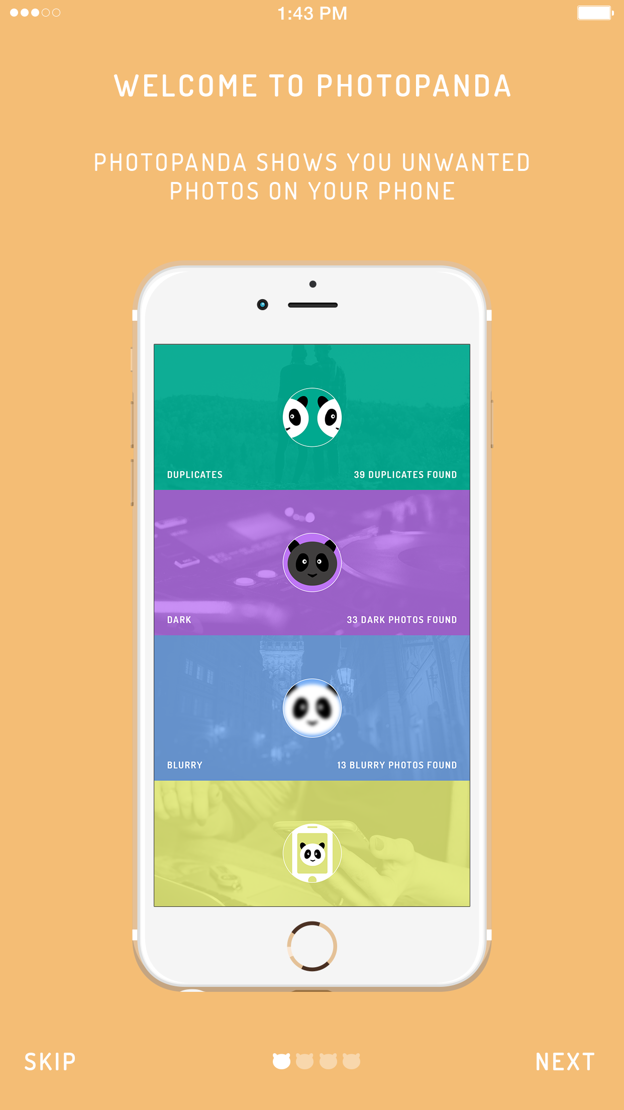 Photo Panda gallery image