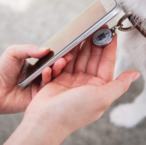 Pet Widget gallery image