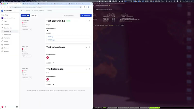 GitBundle screenshot 1 (video preview)