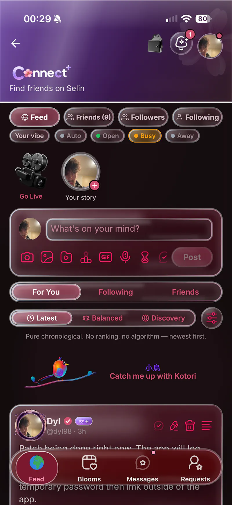 Selin AI screenshot 4