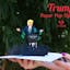 Donald Trump & Deez Nuts 3D Paper Pop-Up Cards