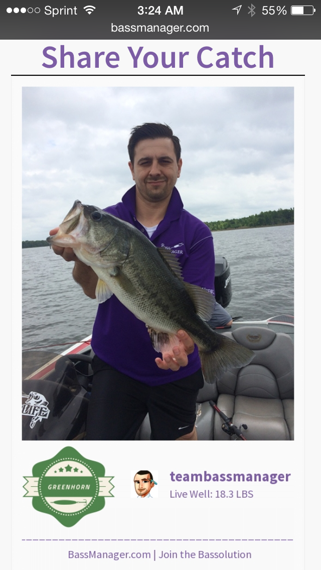 Bass Manager gallery image