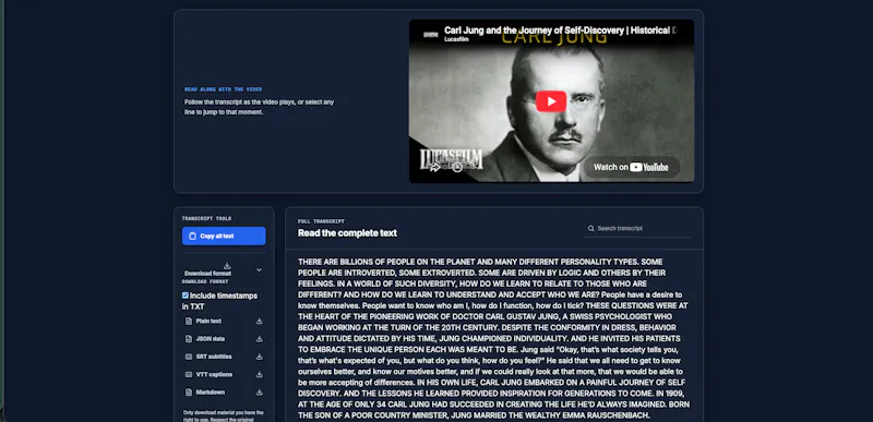 TubeTranscriber screenshot 1