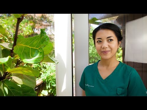 Kindly Care gallery image