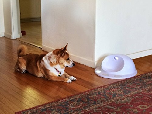 Color Match by CleverPet gallery image