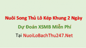 Nuôi <a href='/article/1730573998672676aed938f569274882/'>lô kép khung 2 ngày</a> hiệu quả cao image