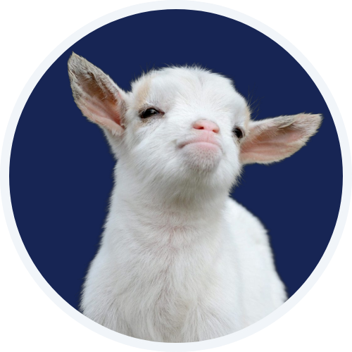 AI-Powered Notes Taker logo