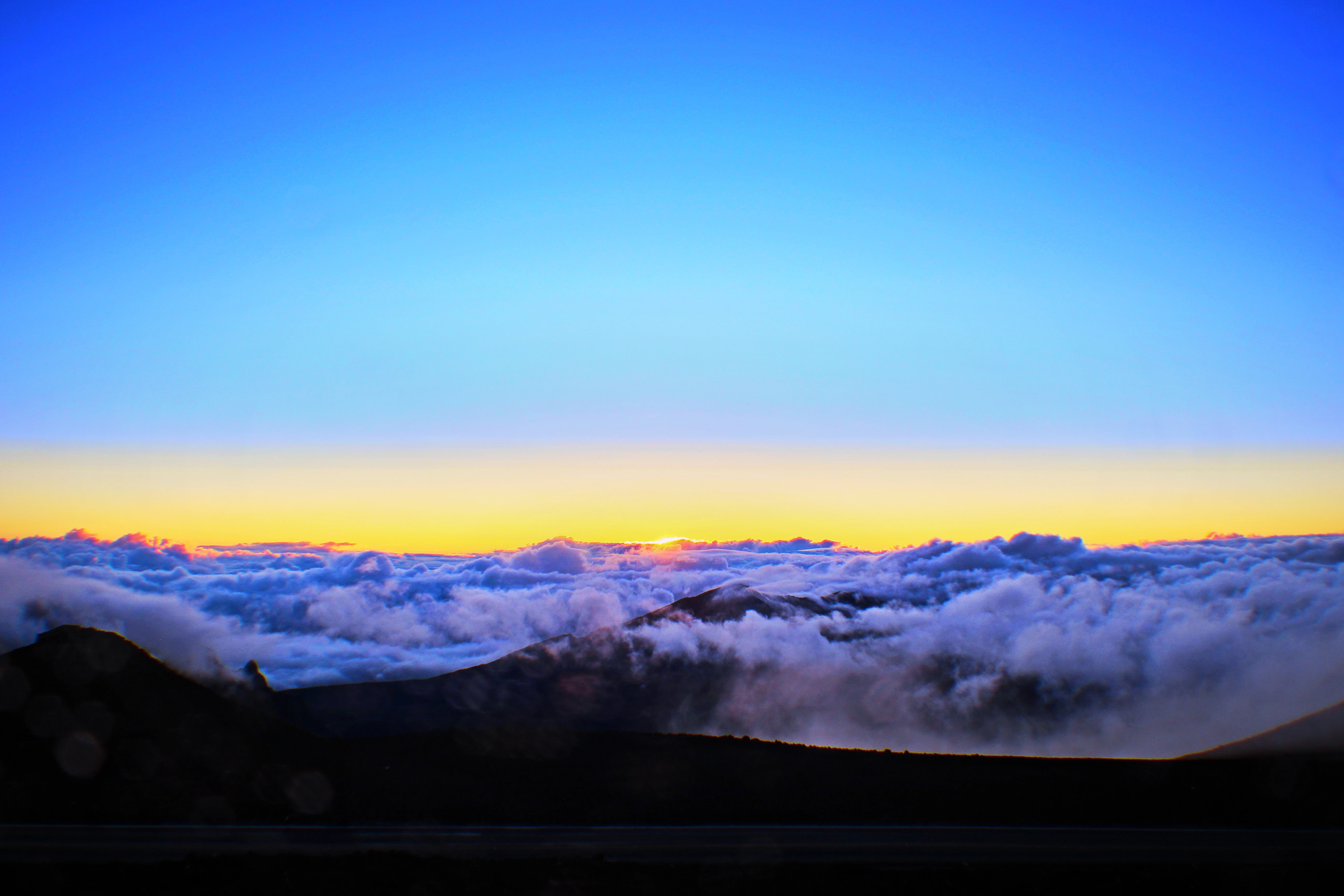 Arthur Tonelli cover