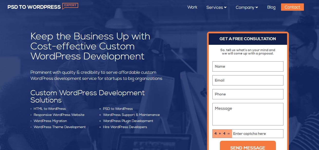 Custom WordPress Development Service gallery image
