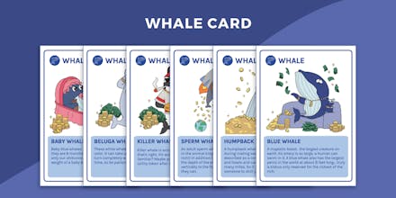 Shitcoin Survivors gallery image