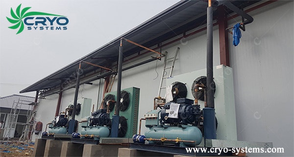 Fish cold storage for food processing gallery image