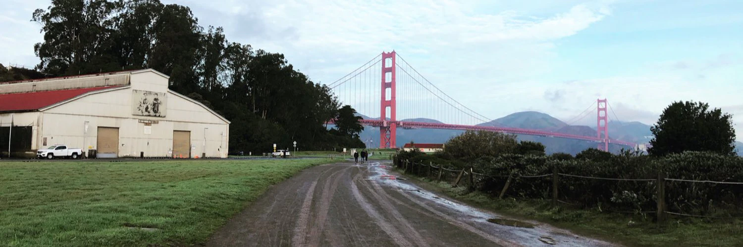 Michael Brandt cover