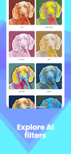 Dimi gallery image