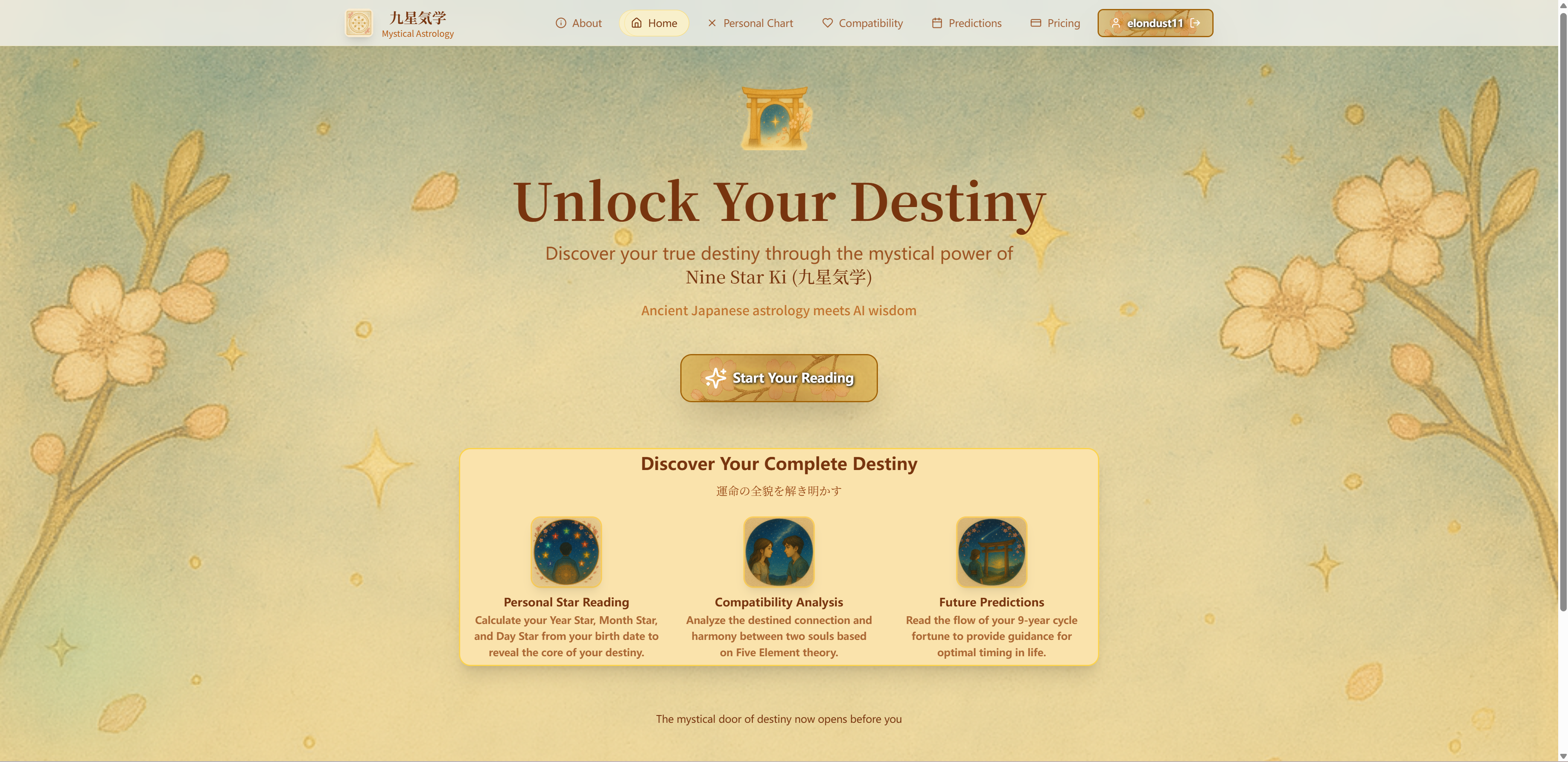 Nine Star Ki - AI Fortune Telling logo