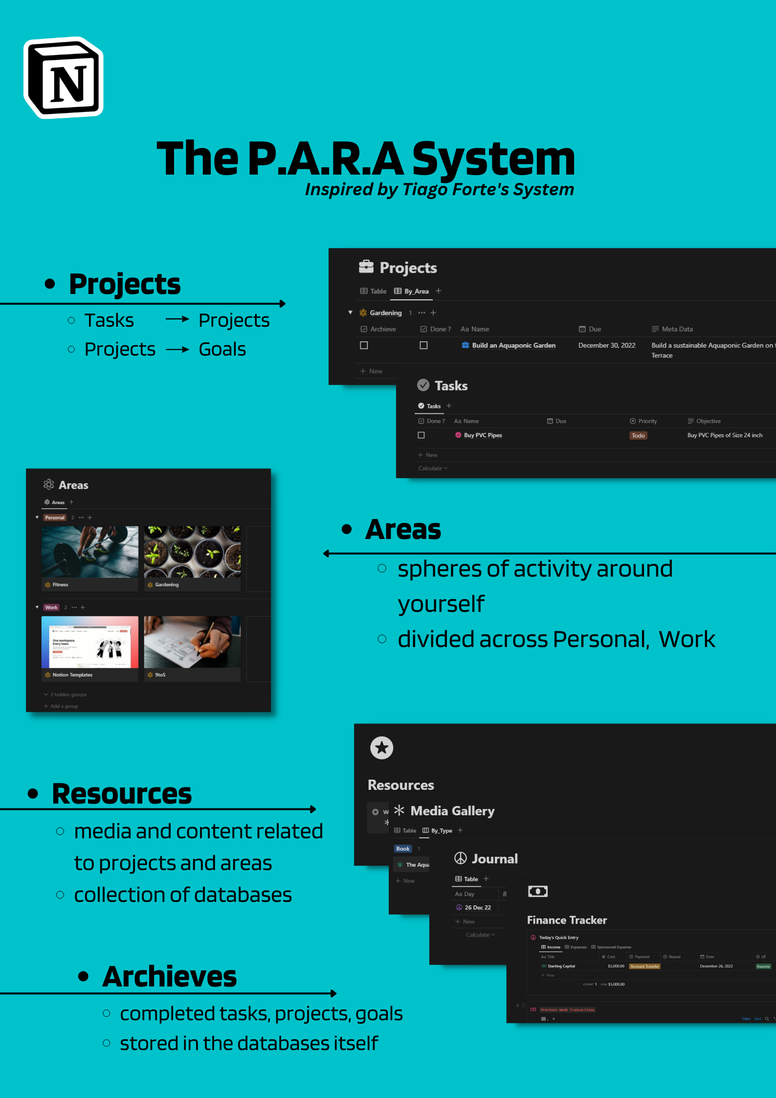 Notion P.A.R.A System