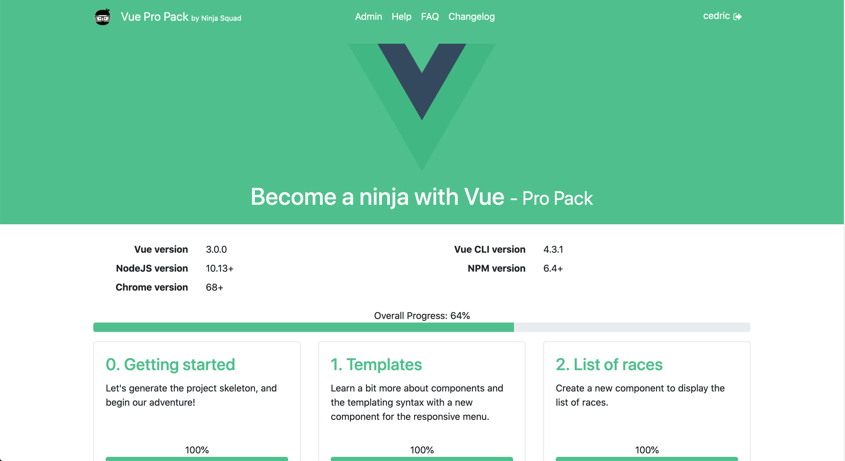 Become a Ninja with Vue 3.0 gallery image