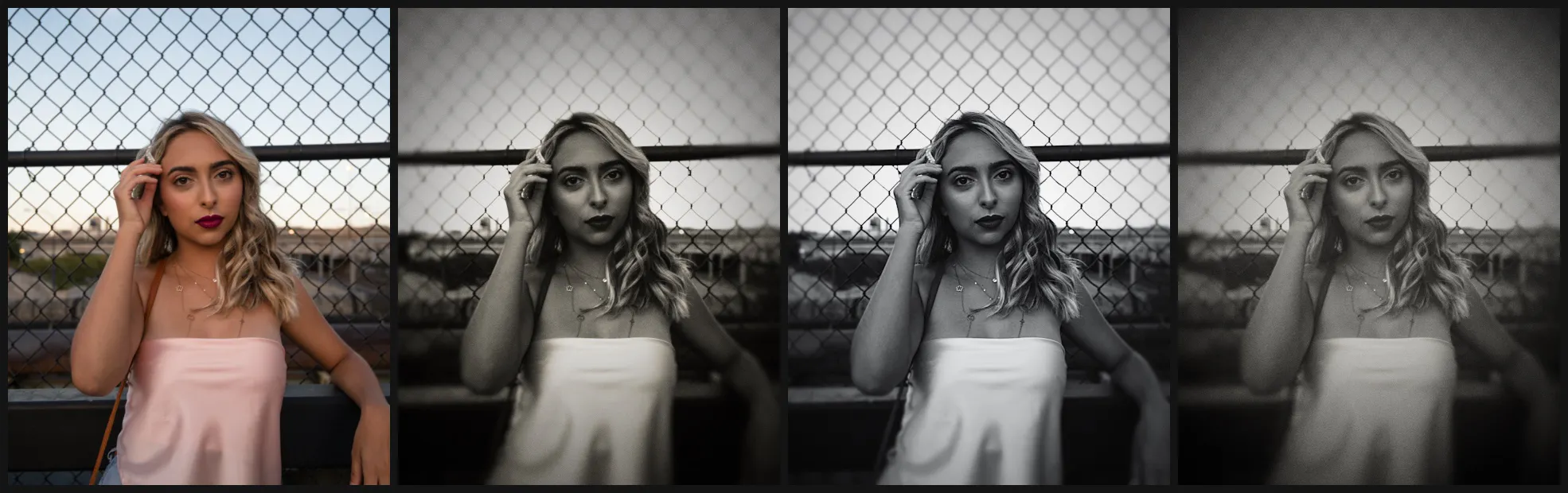 Collodion gallery image