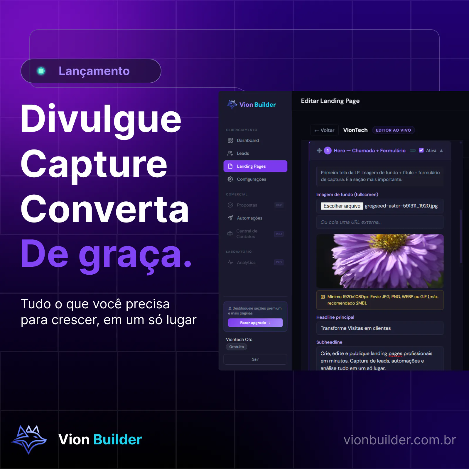 VIonBuilder  gallery image